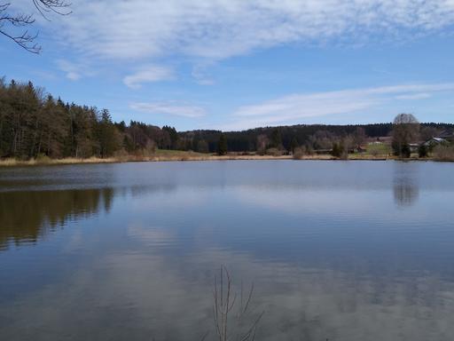 Radtour von München an den Aufhofener Weiher zum Baden: Blick auf den Aufhofener Weiher