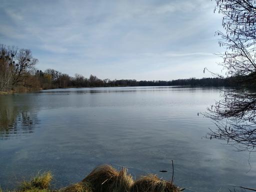 Radtour von München an den Feldmochinger See zum Baden: Blick auf den Feldmochinger See