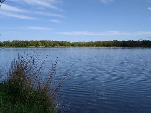 Radtour von München an den Feringasee zum Baden: Blick über den Feringasee