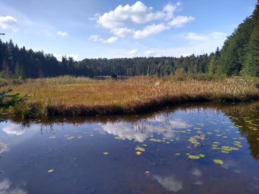 Radtour von München an den Hackensee zum Baden: Blick auf den Hackensee