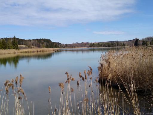 Radtour von München an den Harmatinger Weiher zum Baden: Blick auf den Harmatinger Weiher