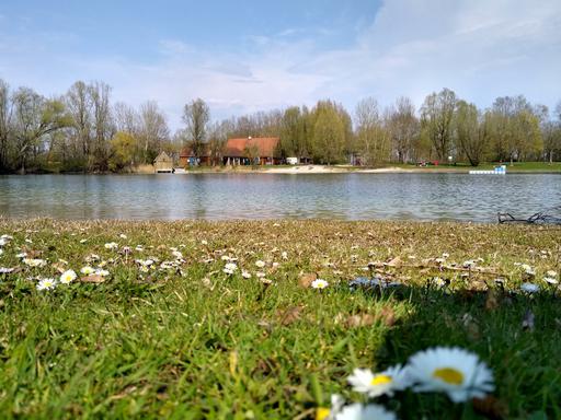 Radtour von München an die Neufahrner Mühlseen zum Baden: Blick auf einen der Mühlseen