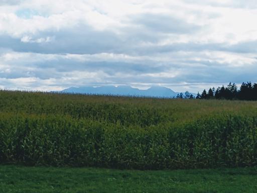 Radtour von München an den Steinsee: Blick von Oberseeon aus