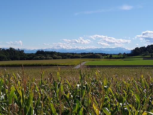 Radtouren zu Aussichtspunkten im Münchner Nordwesten: Aussicht vom Schöneberg bei Türkenfeld