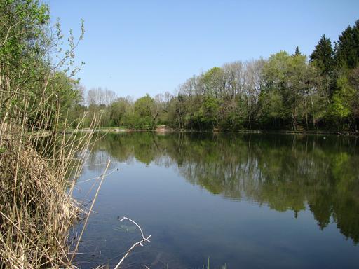 Radtour von München nach Thanning: Blick auf den Thanninger Weiher