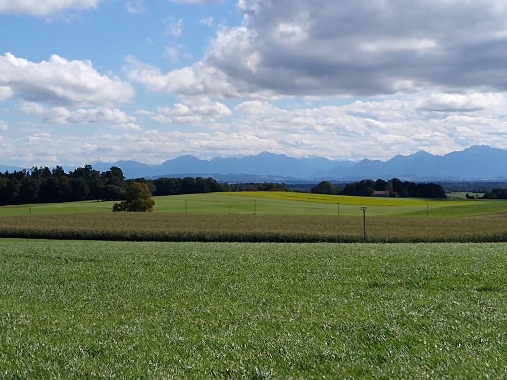 Aussicht von Ast bei Aßling