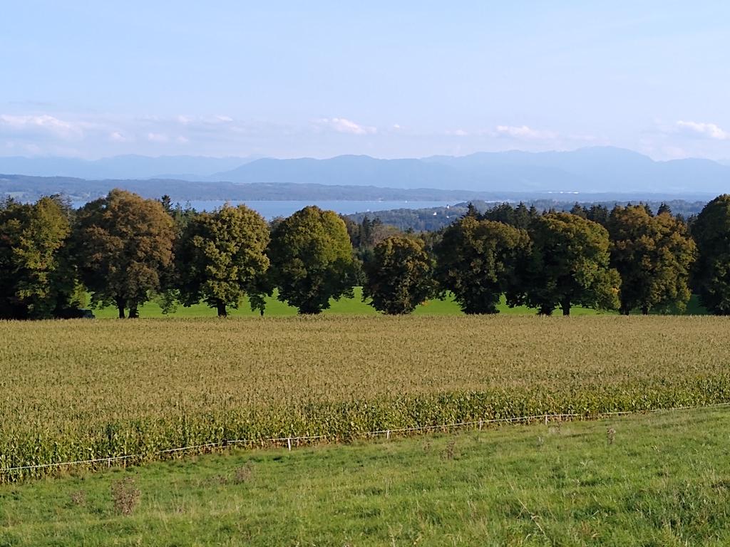 Blick von der Ilkahöhe über den Starnberger See