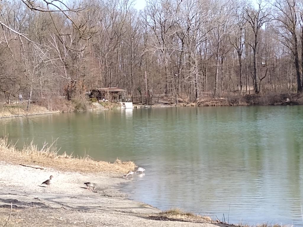 Radtour von München an den Poschinger Weiher zum Baden: Blick auf den Poschinger Weiher im Februar