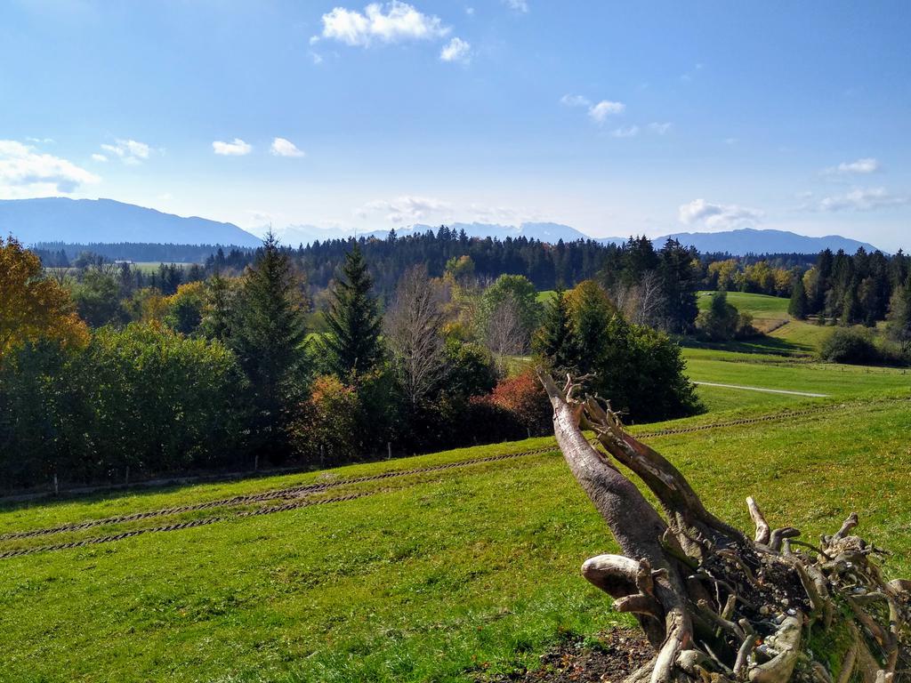 Radtour von München nach Reutberg: Blick vom Fuße des Kloster Reutberg nach Südwesten