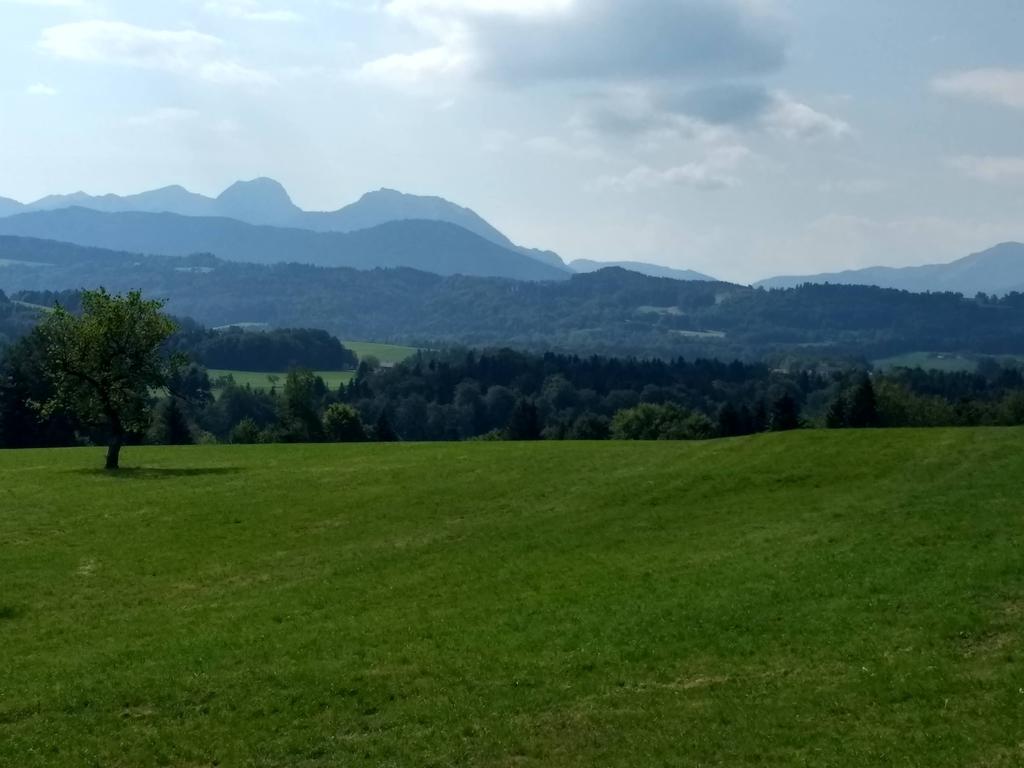 Radtour von München nach Wilparting am Irschenberg: Blick auf den Wendelstein von Wilparting aus