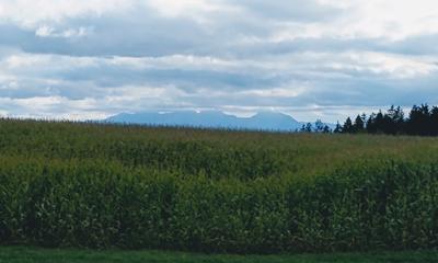 Radtour von München an den Steinsee: Blick von Oberseeon aus