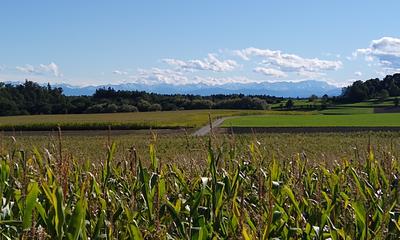 Radtouren zu Aussichtspunkten im Münchner Nordwesten: Aussicht vom Schöneberg bei Türkenfeld