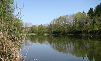 Radtour von München nach Thanning: Blick auf den Thanninger Weiher