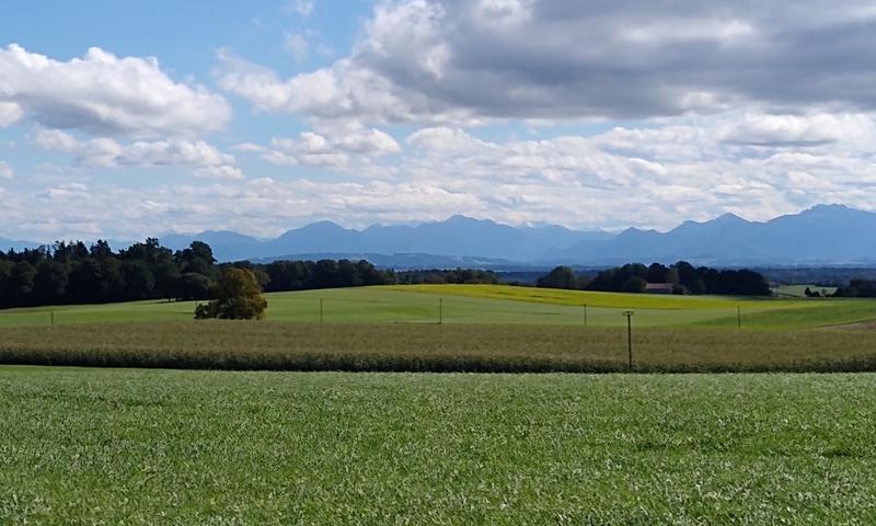 Aussicht von Ast bei Aßling