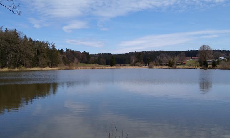 Radtour von München an den Aufhofener Weiher zum Baden: Blick auf den Aufhofener Weiher