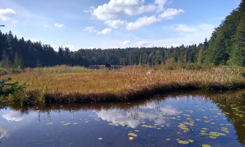 Radtour von München an den Hackensee zum Baden: Blick auf den Hackensee