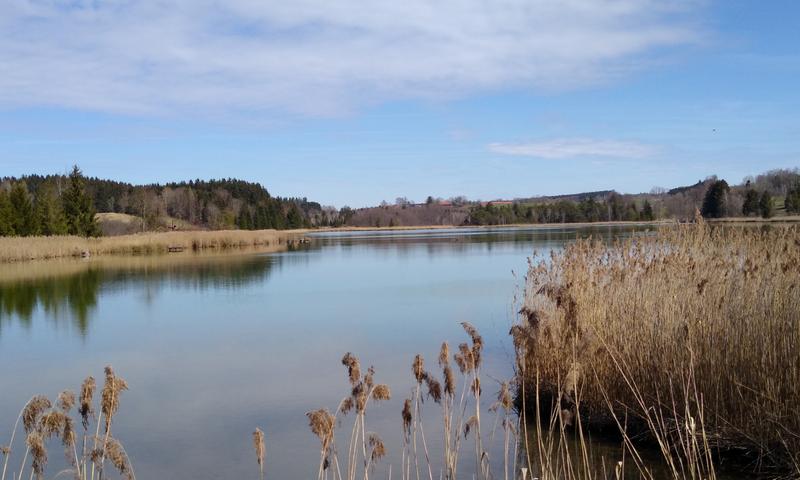 Radtour von München an den Harmatinger Weiher zum Baden: Blick auf den Harmatinger Weiher