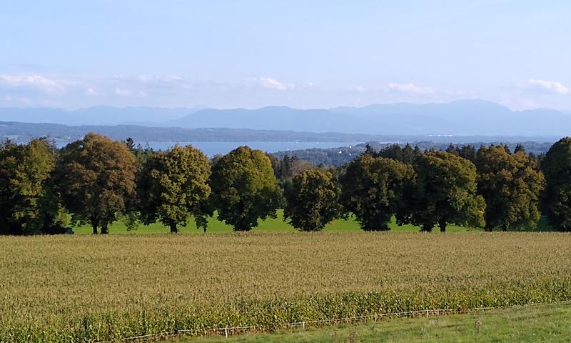 Blick von der Ilkahöhe über den Starnberger See