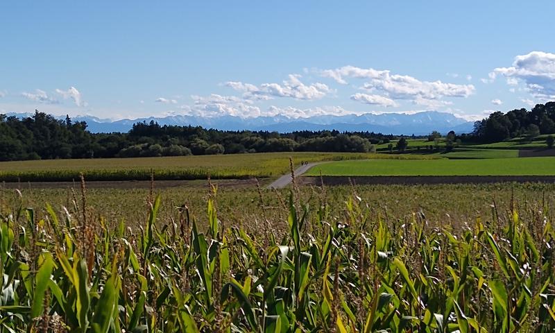 Aussicht vom Schöneberg bei Türkenfeld